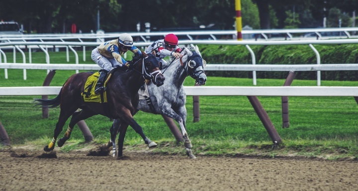 Facts about Horse Racing