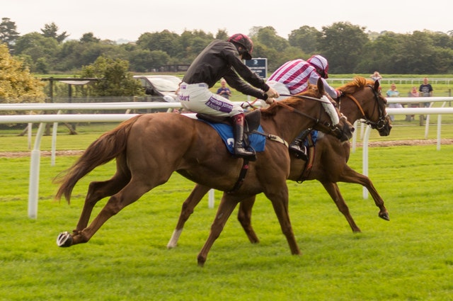 Horse Racing Facts