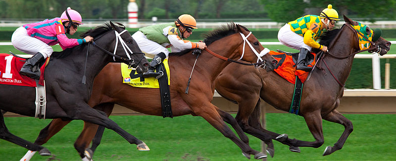 Horse racing